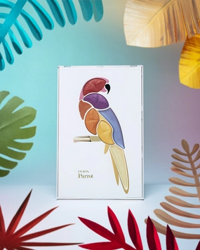 buy-pupa-parrot-lebanon