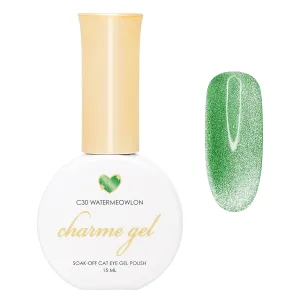 Daily Charme C30 Watermeowlon Bright Velvet Cat Eye Magnetic Gel Nail Polish 15ml, Soak Off UV Led Gel Nail Polish Set, Home DIY/Nail Salon Manicure (Vibrant Green)