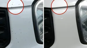 Dr. ColorChip Squirt-n-Squeegee Automobile Touch-Up Paint Kit, Compatible with the 2019 Tesla Model S, Sycamore Brown Metallic (PMAB)