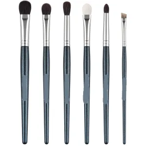 Makeup Brush Set 6 Pcs Professional Blending Eyeshadow Makeup Brushes Concealer Eyebrows Eyeliner, Soft Hairs Wood Handle Quality Makeup Tool(Blue)
