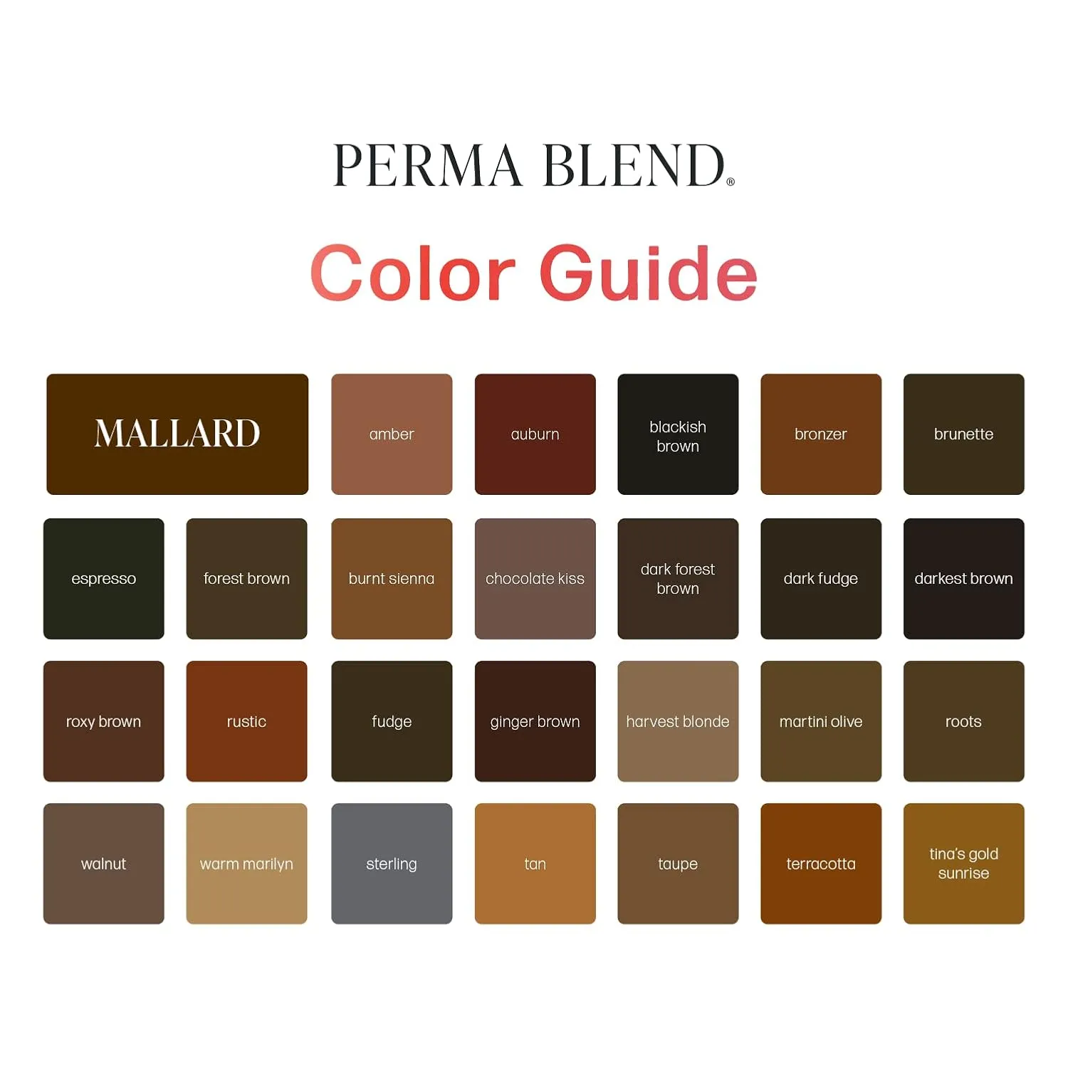 Perma Blend - Black Beauty - Microblading Ink for Permanent Eyeliner - Professional Tattoo Ink - Black Tattoo Ink Makeup - Vegan (0.5 oz)