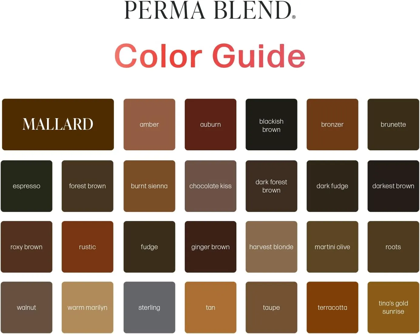 Perma Blend Brow Daddy - Truffle Dream - Permanent Makeup Pigment for Professionals - Ink for Lip Blushing, Eyebrows, and Microblading - Vegan & Cruelty-Free (0.5 oz)