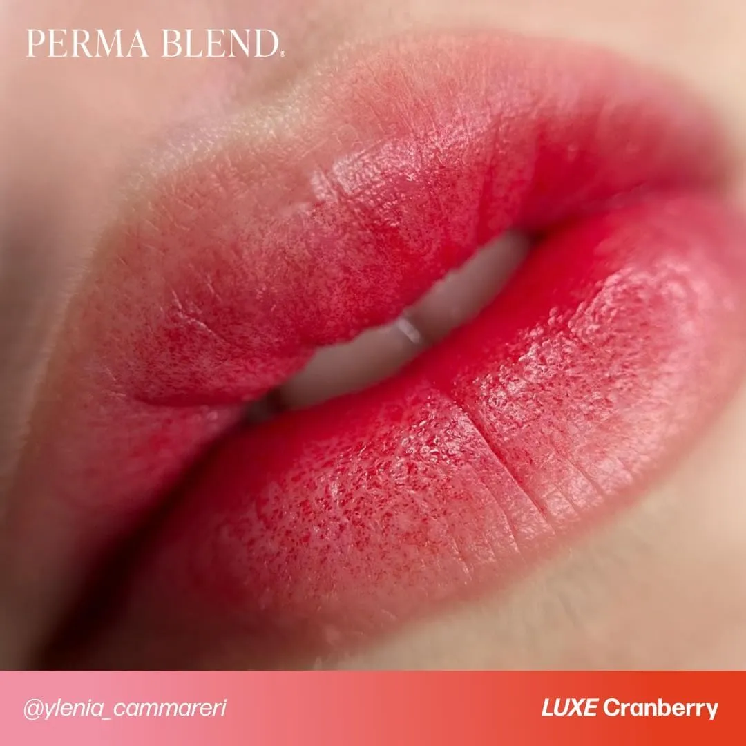 Perma Blend Luxe Berry Lip Set - Deep Red Tattoo Ink Set - Lip Blush Microblading Kit - Tattoo Supplies for PMU - Includes Cranberry & Boudoir - Vegan & Cruelty-Free (2 Ct, 0.5 oz Each)