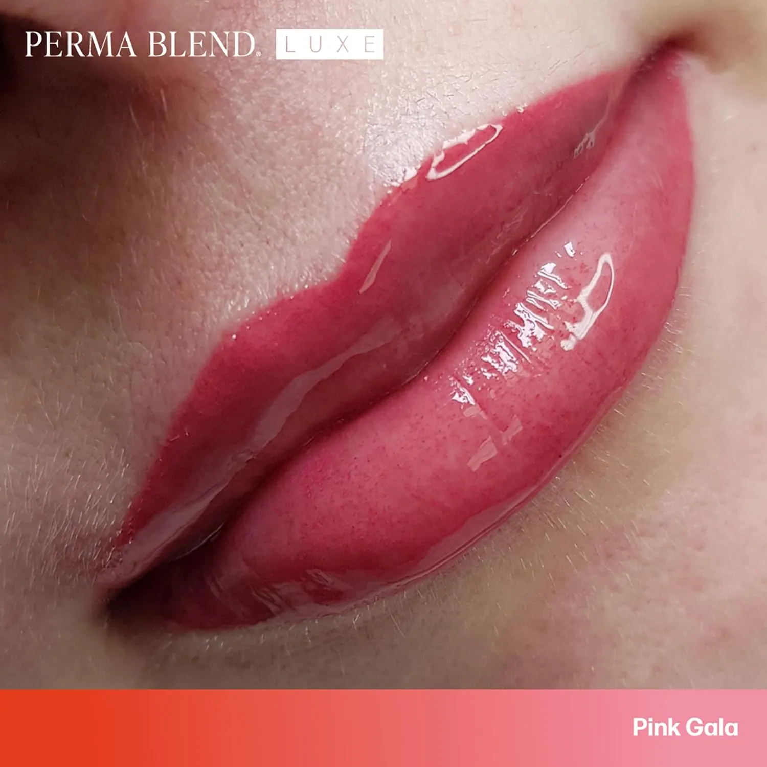 Perma Blend Luxe - Pink Lip Set - Microblading Lip Blushing Kit with Pink Gala, Hot Pink & Pomegranate V2 Tattoo Ink Shades - Vegan & Cruelty-Free - 3 Count (0.5 oz each)