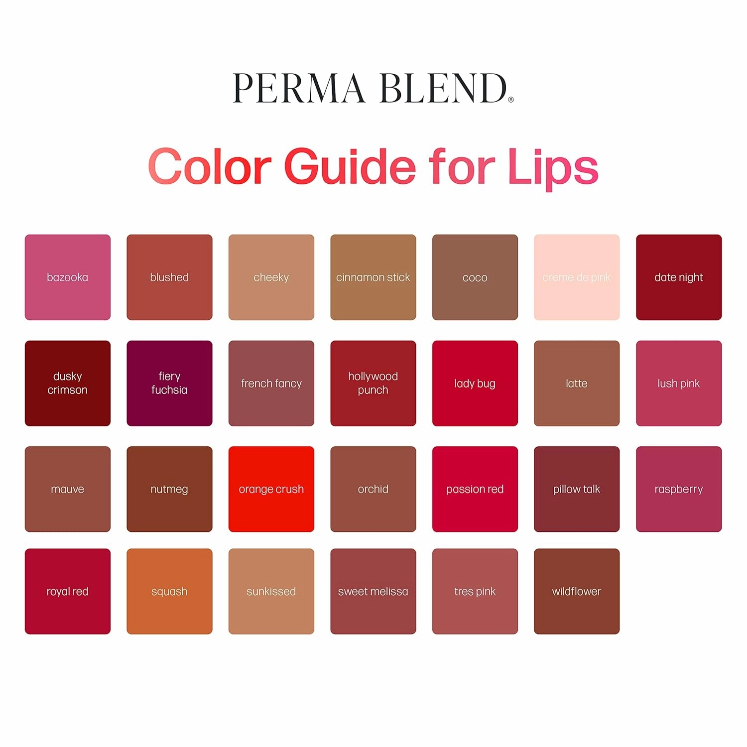 Perma Blend - French Fancy - Pink Tattoo Ink for Permanent Makeup - Lip Blush Microblading Ink to Enhance Color - Lip Blushing & Tattoo Supplies - Vegan (0.5 oz)