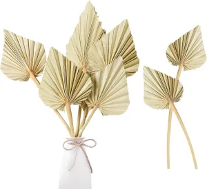 Sggvecsy Boho Dried Palm Leaves - 10 Pieces, 14.2'' Natural Palm Spears and Fans for Flower Bouquet, Boho Wedding, Home Party, Kitchen Vase, Farmhouse Table Arrangements and Anniversary Decor