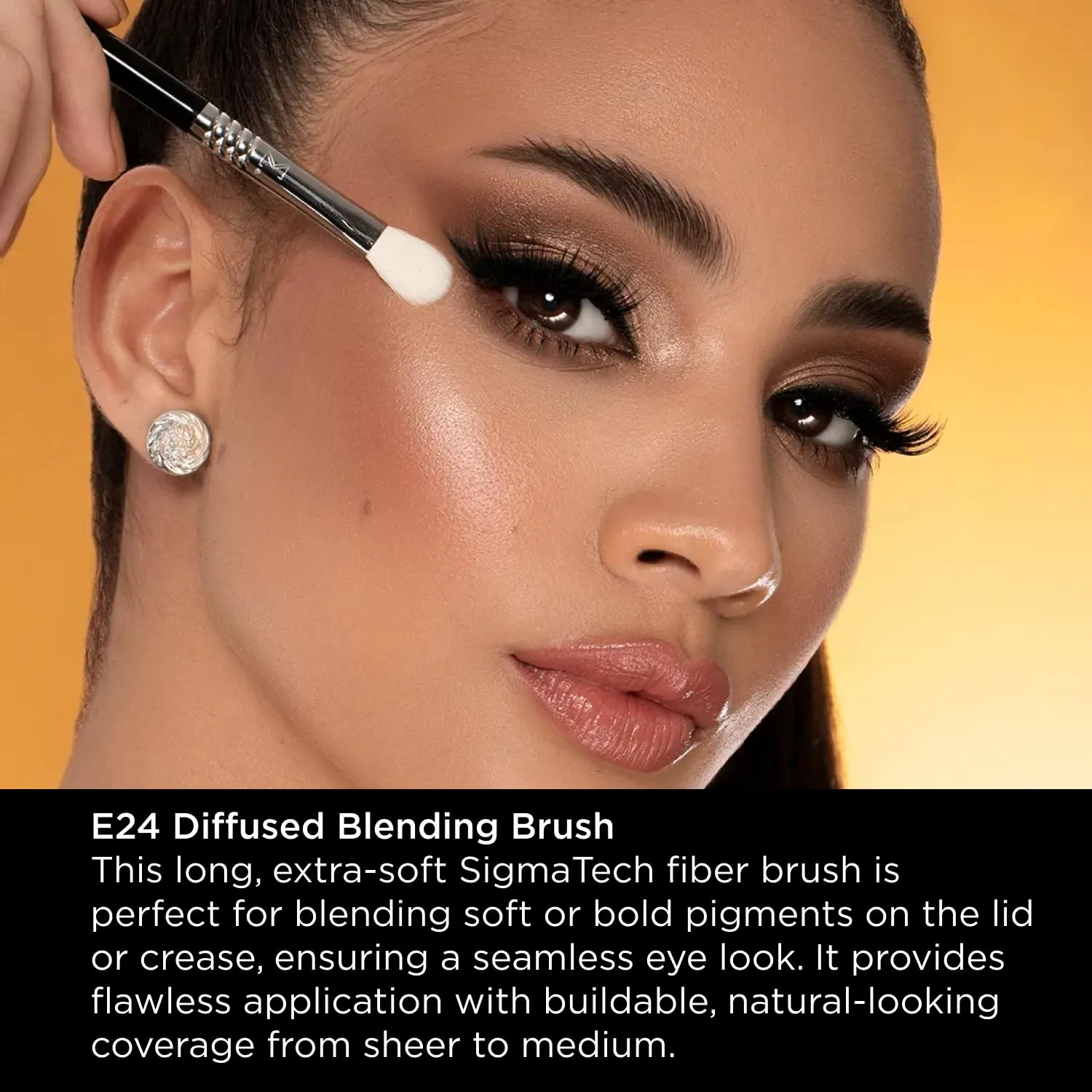 Sigma Beauty Professional E24 Diffused Blending Brush – Professional Eyeshadow Brush for Seamless Eyeshadow Blending, Softens Dramatic Edges & Harsh Lines for a Well Blended Effect (1 Brush)