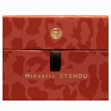 Viseart Eye Shadow Palette Minxette Etendu